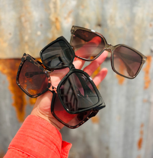 Sundown Sunnies